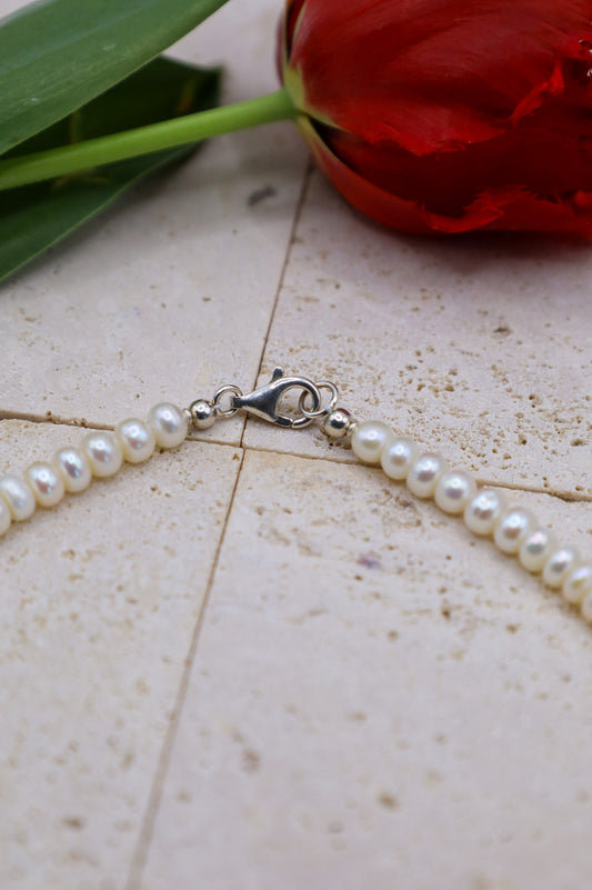 Karabiner Verschluss in Silber