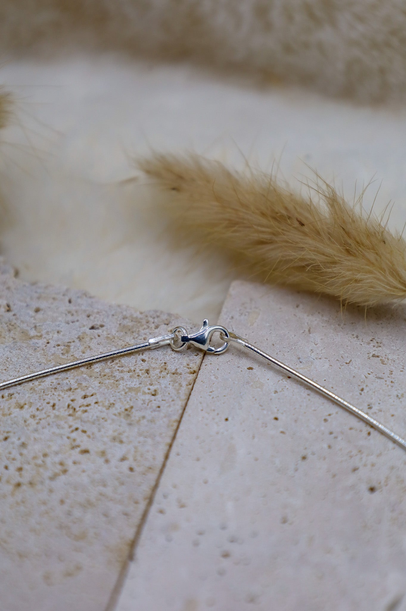 Schöner Karabiner Verschluss in Silber